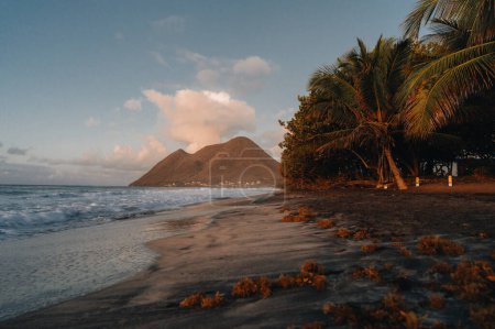 Foto de Dramático paisaje marino de la hermosa playa tropical salvaje Diamant con su montaña de mujer en capas, arena oscura y palmeras, al atardecer rosa con pequeñas olas y nadie, Martinica, Indias Occidentales - Imagen libre de derechos