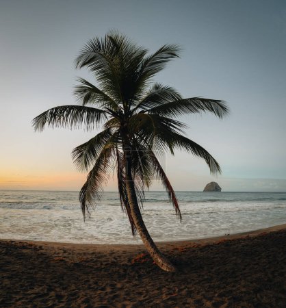 Téléchargez les photos : Le Rocher du Diamant, Martinique au lever du soleil. Diamond Rock et palmiers sur la plage. Image de voyage des Caraïbes pour des vacances à la plage. Photo prise en Martinique - en image libre de droit