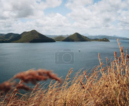 Photo for Yachts anchoring in famous Rodney Bay, Saint Lucia, West indies. - Royalty Free Image