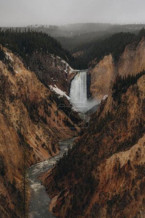 Photo for Yellowstone Falls in Yellowstone National Park, Wyoming, USA. - Royalty Free Image