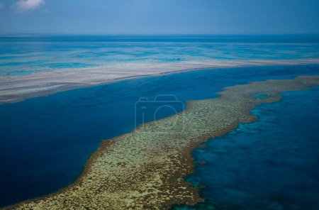 Aerial view of Great Barrier Reef coral reef structure in Whitsundays, Aerilie beach, Queensland, Australia.