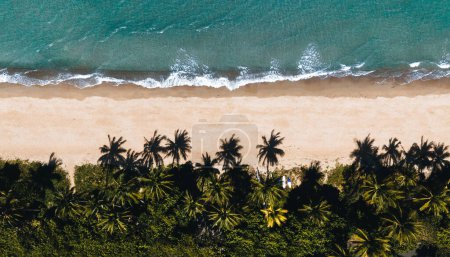 Photo for Aerial drone shot of Bingil Bay Beach at Mission Beach, Tropical North Queensland, Australia. - Royalty Free Image