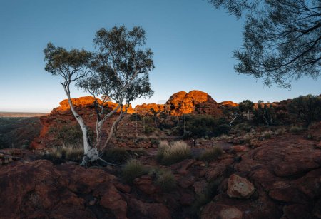 Blick auf Kings Canyon, Sonnenaufgang und Sonnenuntergang in Zentralaustralien, Northern Territory, Australien.