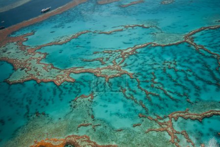 Vista aérea de la estructura del arrecife de coral de la Gran Barrera de Coral en Whitsundays, Aerilie beach, Queensland, Australia.