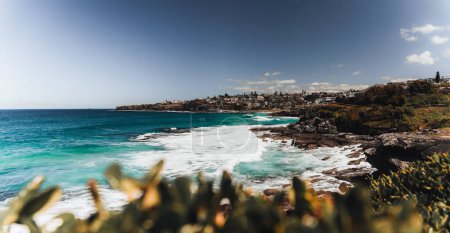 Téléchargez les photos : Paysage nature de falaise avec océan au parc national royal promenade côtière à Sydney NSW Australie - Nature Voyage piste de Wattamolla. Activité de plein air et de pique-nique. - en image libre de droit