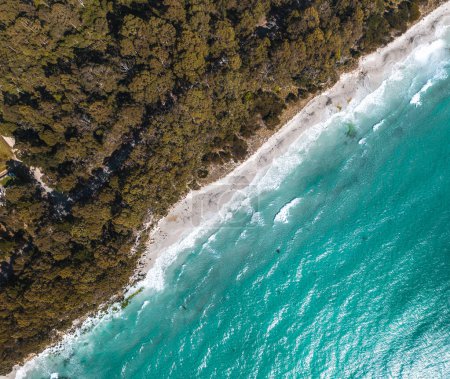 Foto de Una vista aérea de una playa con exuberantes árboles que bordean las aguas azules. Este paisaje natural muestra las hermosas formas terrestres costeras y oceánicas del mundo - Imagen libre de derechos