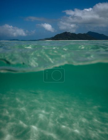 Photo for Half-submerged in clean transparent green salt water of coral sea at white silica Whitehaven beach on Whitsunday island of Great Barrier Reef, Australia - Royalty Free Image