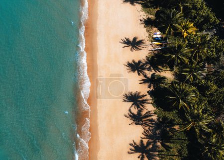 Photo for Aerial of white sand beach on home island, cocos keeling islands, austrailian indian ocean territory. - Royalty Free Image