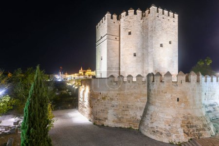 Photo for Calahorra Tower and Roman Bridge of Cordoba with the Cathedral - Mosque in background at night. World Heritage City by Unesco in Andalusia, Spain - Royalty Free Image