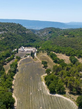 Foto de Vista aérea de la abadía de Senanque cisterciense con campo de lavanda, en Gordes, Vaucluse, Provenza, Provenza-Alpes-Costa Azul, Francia - Imagen libre de derechos