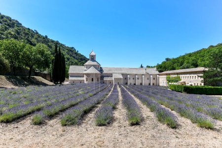 Foto de Abadía cisterciense de Senanque con campo de lavanda, en Gordes, Vaucluse, Provenza, Provenza-Alpes-Costa Azul, Francia - Imagen libre de derechos