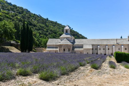 Foto de Abadía cisterciense de Senanque con campo de lavanda, en Gordes, Vaucluse, Provenza, Provenza-Alpes-Costa Azul, Francia - Imagen libre de derechos