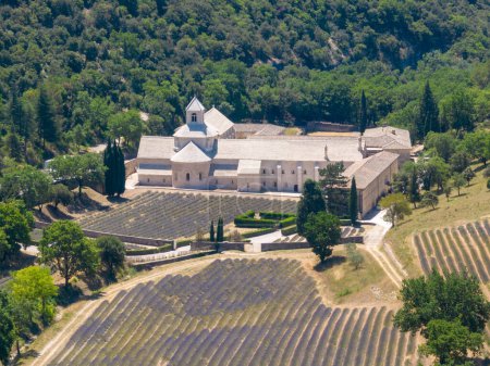 Foto de Vista aérea de la abadía de Senanque cisterciense con campo de lavanda, en Gordes, Vaucluse, Provenza, Provenza-Alpes-Costa Azul, Francia - Imagen libre de derechos