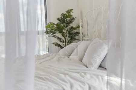 Foto de Moderno dormitorio minimalista con ropa de cama blanca y palmera interior. - Imagen libre de derechos