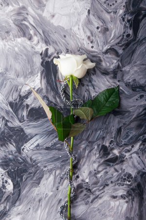 Elegant white rose on swirling black and white abstract background.