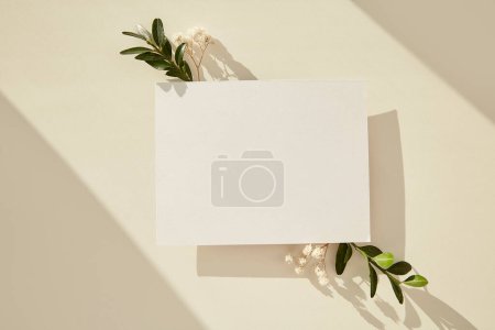 Aesthetic gypsophila floral sunny shadows on stationery card mockup. Invitation, greeting, wish list, Mothers Day concept.New life, zero waste, sustainable, eco-friendly concept