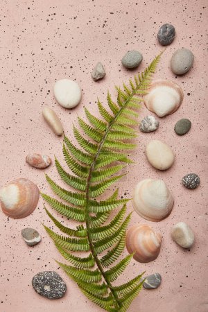 Elegant summer background with green foliage and shells, pebbles.