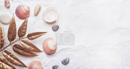 Collection of seashells and stones against a crinkled paper backdrop. Copy space.