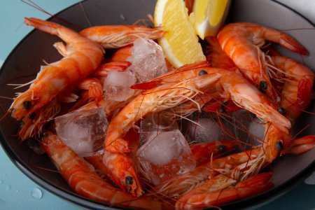 Cooked prawns on ice, with lemon, summer meal, lifestyle and cooking magazines concept.