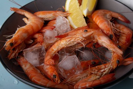 Cooked prawns on ice, with lemon, summer meal, lifestyle and cooking magazines concept.