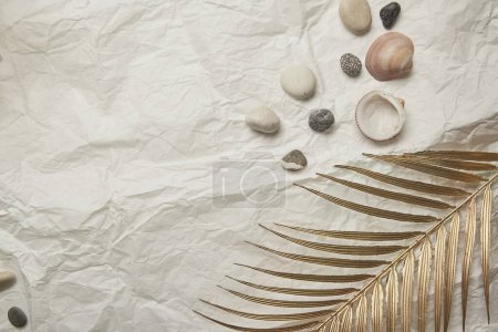 Collection of seashells and stones on a crinkled paper backdrop. Copy space.