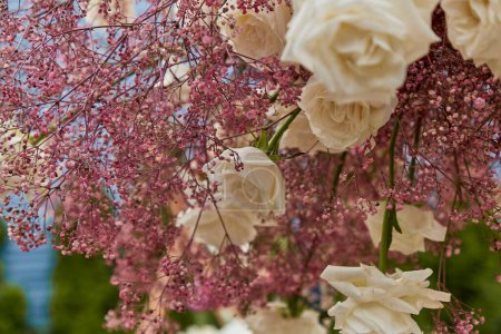 Delicate pink gypsophila and white roses against a soft-focus background.Themes of love and delicate beauty