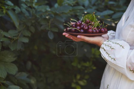 Frauen halten eine reife rote Kirsche im Garten. Biologisches Leben, natürliche Ernährung und Schönheit alltäglicher Momente
