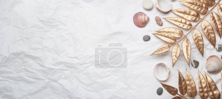 rustic seashell summer background with copy space. Extra wide banner.
