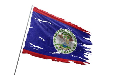 Belize torn flag on transparent background.