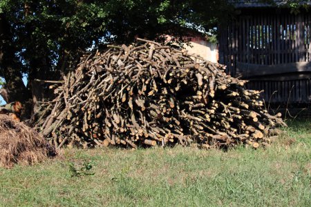 Pile of cut out tree branches and small wooden logs left to dry in rural family house backyard to be used as firewood after drying through summer surrounded with uncut grass and hay stack on warm sunny spring day