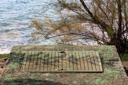 Heavy closed rectangular metal manhole cover with concrete foundation covered with thin layer of green moss with trees and sea in background on warm sunny autumn day