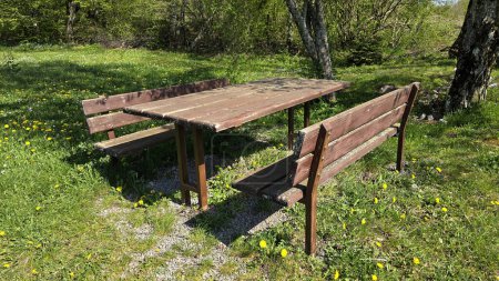 Dilapidated outdoor rural wooden table with two benches and metal frame with faded color surrounded with uncut grass mixed with small flowers and gravel under tall dense trees in local public park on warm sunny spring day