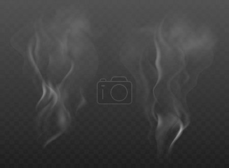 Ilustración de Niebla realista, efecto niebla. Humo sobre fondo oscuro. Ilustración vectorial - Imagen libre de derechos