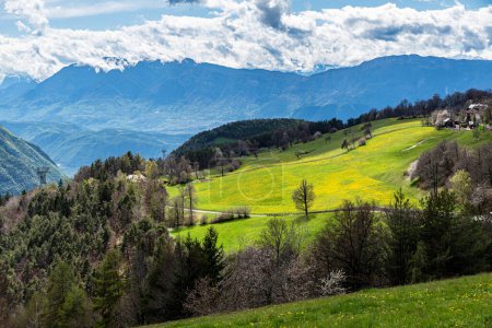Foto de En el fondo los Dolomitas con las montañas de Schlern y Rosengarten - Imagen libre de derechos
