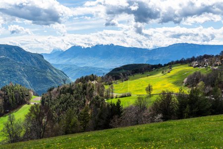 Foto de Al fondo los Dolomitas con las montañas Schlern y Rosengarten. En primer plano un prado cultivado - Imagen libre de derechos