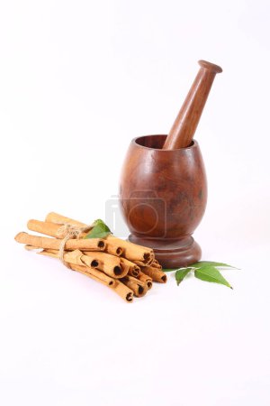 Photo for Healthy Dalchini or Cinnamon Sticks, Indian Spice - Royalty Free Image