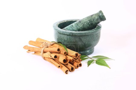 Photo for Dalchini or Cinnamon with Mortar and Pestle, Indian Spices - Royalty Free Image