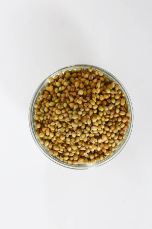 Foto de Sabut Dhaniya o semillas de cilantro, Masala, Especia india - Imagen libre de derechos
