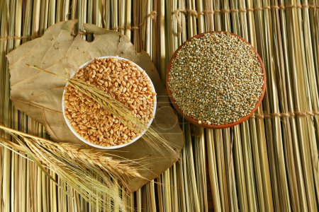 Téléchargez les photos : Millet bajra ou perle, Mota anaj indien - en image libre de droit
