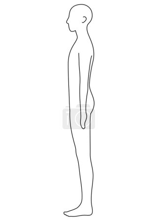 Foto de Human body outline, side,  monochrome illustration - Imagen libre de derechos