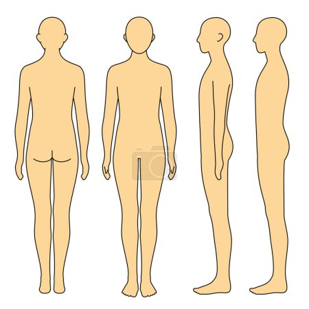 Ilustración de Human body model, outline, front, back and side, vector file set - Imagen libre de derechos