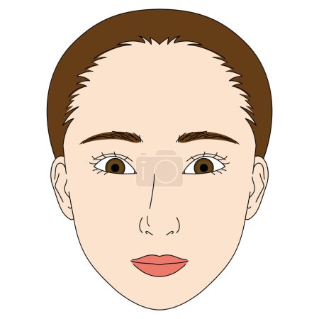Illustration for Woman face, double eyelids, Almond eyes, sanpaku - Royalty Free Image
