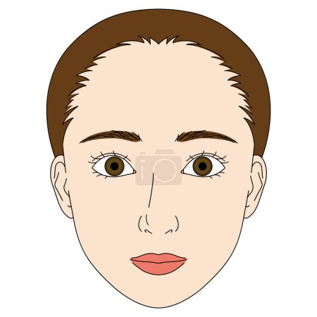 Illustration for Woman face, double eyelids, large eyes - Royalty Free Image
