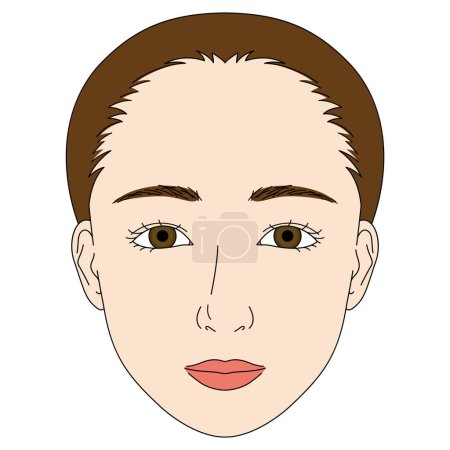 Illustration for Woman face, double eyelids, downturned eyes - Royalty Free Image