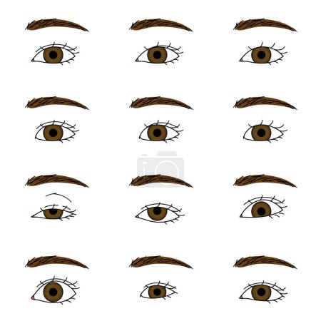 Illustration for Woman eyes and eyebrows, different shapes, illustration vector file - Royalty Free Image