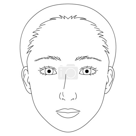 Illustration for Woman face, double eyelids eyes, epicanthal fold, Almond eyes ,outline illustration - Royalty Free Image