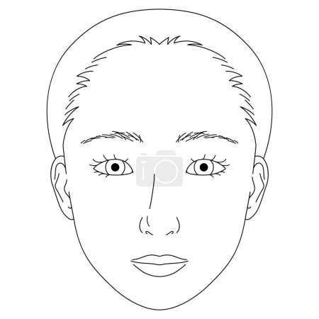 Illustration pour Visage de femme, yeux mono couvercle, pli épicanthal, yeux amande, illustration contour - image libre de droit