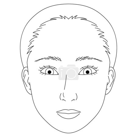 Illustration for Woman face, double eyelids, Almond eyes, sanpaku ,outline illustration - Royalty Free Image