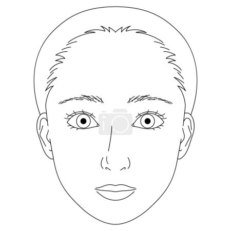 Illustration for Woman face, double eyelids, large eyes ,outline illustration - Royalty Free Image