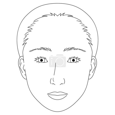 Illustration for Woman face, double eyelids, small eyes ,outline illustration - Royalty Free Image